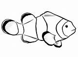 Clownfish Nemo Designlooter Clipartmag sketch template