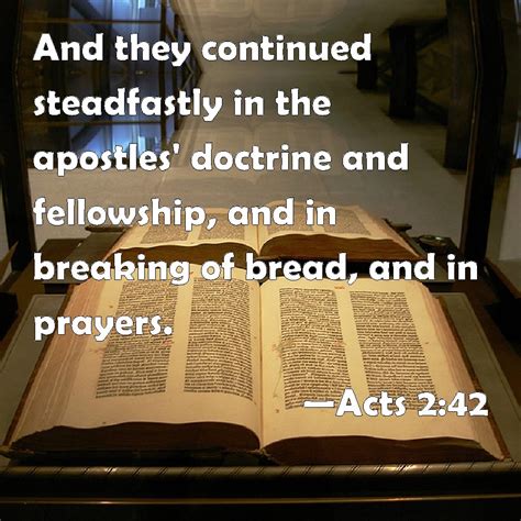 acts    continued steadfastly   apostles doctrine