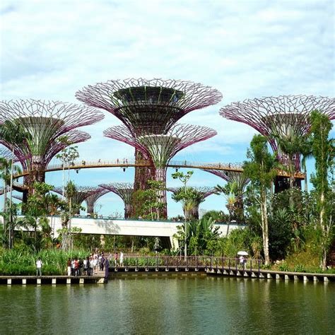 Supertree Grove At Gardens By The Bay Singapore Amusing