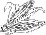 Corn Clipart Coloring Pages Cartoon Field Drawing Stalk Cob Printable Getdrawings Transparent Clipartix Clip Color Maize Svg Library Clipground Webstockreview sketch template