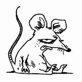 Rat Dessin Coloriage Rats Coloriages Imprimer Colorier Bip Besnier Michel sketch template