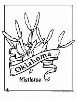 Oklahoma Flower Coloring State Pages Drawing Tree Mexico Sheet Kids Comments Woojr Getdrawings Choose Board Coloringhome sketch template