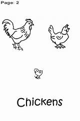 Coloring Chicken Preschoolers Book Chickens Preschool sketch template