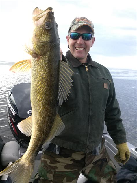 green bay walleye fishing late eyes sport fishing  guide service