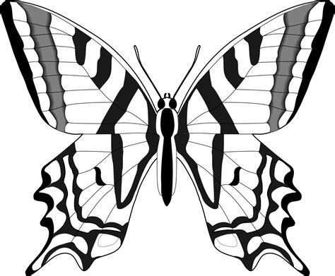 clipart butterfly  drawing clipart butterfly  drawing