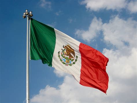 despues exitoso  agregar colores de la bandera de mexico legacion intacto anemona de mar