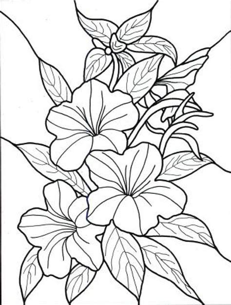 hawaiian flower colouring pages page  printable flower coloring