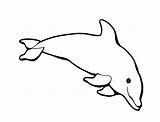 Dolphin Dolphins Coloringme sketch template