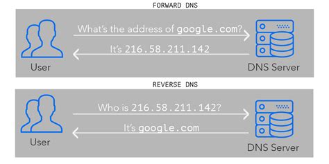 difference    reverse lookup dns query uploadwho