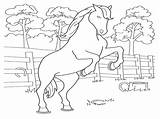 Rearing Horse Pages Coloring Getcolorings sketch template