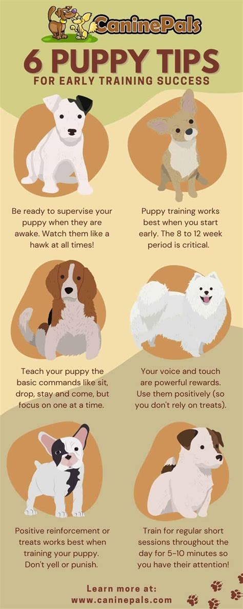 puppy training tips canine pals