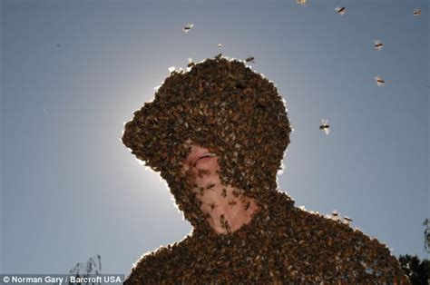 creating a buzz meet the bee wrangler who can coax 100 000 insects on