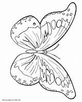 Coloring Butterfly Pages Printable Beauty Insect Butterflies Girls sketch template