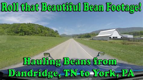 roll  beautiful bean footage hauling beans  tn  york pa youtube