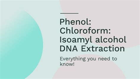 Phenol Chloroform Isoamyl Alcohol Dna Extraction Method