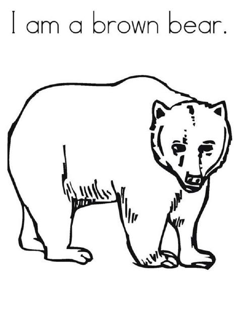 brown bear coloring pages  thiva hellas