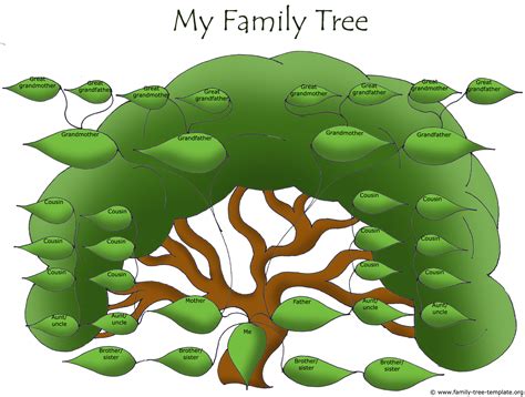 family tree templates   ancestry information family tree template