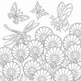 Insect Zentangle Insects 30seconds Stylized Butterflies Sybirko Dragonfly Reindeer Deer sketch template