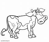 Cow Pages Coloring Cartoon Printable Adults Kids sketch template
