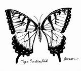 Swallowtail Becky sketch template