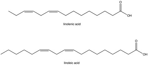 essential fatty acid chemistry libretexts