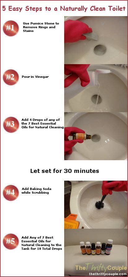steps   naturally clean toilet recipe house cleaning