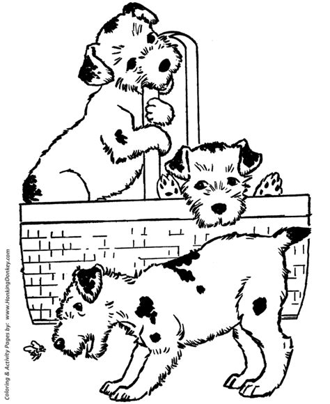 dog coloring pages printable puppies   basket coloring page sheet