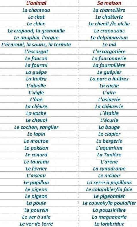 les  mots les  utilises en francais  lecole en  french expressions apprendre
