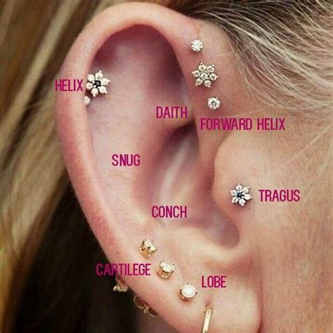 Cartilage Piercing Diagram Ear Piercings Unique Ear Piercings Cool
