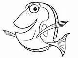 Fish Blue Pages Coloring Printable Getcolorings Color sketch template