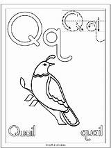 Quail Coloring Letter Preschool Pages Alphabet Mfw Letters Wordpress Crafts Activities Open Kids sketch template