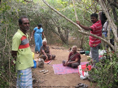 Sri Lanka Refugees For 20 Years Tamil Catholic Families