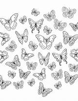 Papillon Aesthetic Colorier Envolée Choisir Paysage Colrier sketch template