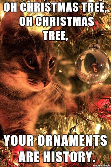 Best 50 Funny Christmas Memes Funny Christmas Memes