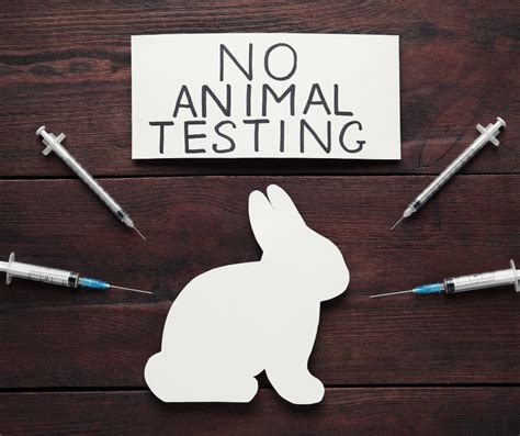 time   animal testing    suffering