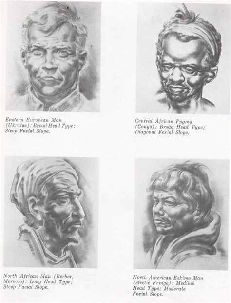 examples  head types    dolls drawing  human head