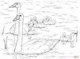 Swan Coloring Swans Trumpeter Pages Family Whooper Drawings 1536px 2048 9kb Kids Birds sketch template