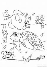 Under Coloring Pages Fish Coloring4free Sea Turtle Crab Related Posts sketch template