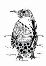 Penguin Intricate Favecrafts Pdf Irepo Primecp Coloringbay Kaleidoscopic Martinchandra sketch template