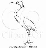 Heron Bird Blue Crane Clipart Cartoon Coloring Outlined Vector Picsburg Pages Clipartof Clipground Royalty Without sketch template