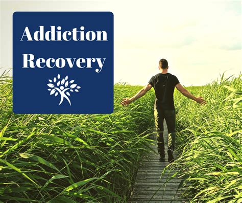 holistic approaches  addiction recovery natural health strategies