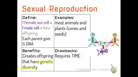 Asexual Vs Sexual Reproduction Notes Youtube