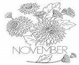 Coloring Pages Chrysanthemum Flower November Printable sketch template
