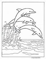 Delfin Dolphin Delphine Drei Dolphins sketch template