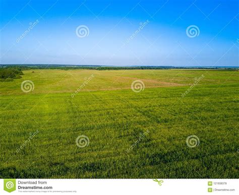 aerial drone view  green field expanses  russia stock photo image  aerial famine
