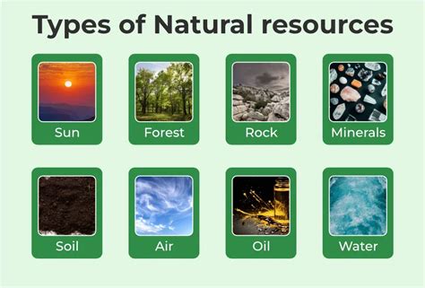 natural resources definition types  examples geeksforgeeks