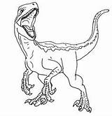 Jurassic Indoraptor Velociraptor Dinosaurios Raptor Dinosaurio Dibujo Colorir Dinossauro Mosasaurus Pokemon Malvorlagen Páginas Ausdrucken Coloringhome Indominus Spinosaurio Buhos Malbögen Zahlen sketch template