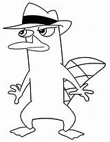 Ferb Phineas Coloring Pages Agent Print Perry Printable Platypus Color Clipart Hmcoloringpages Getcolorings Printables Library Popular Und sketch template