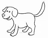 Midisegni Cane Dog Disegni Disegno Animals sketch template