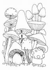 Mushroom Coloring Book Vector Premium Doodles Isolated Illustration Background sketch template